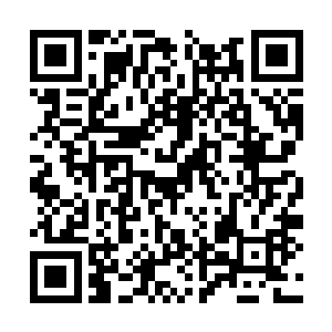 自己要的秘影宝钻和命运双生花都在阴影大神殿中二维码生成