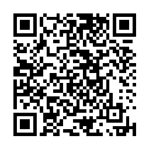 自己认识的白小飞绝对不会做出牺牲他人的事情来二维码生成