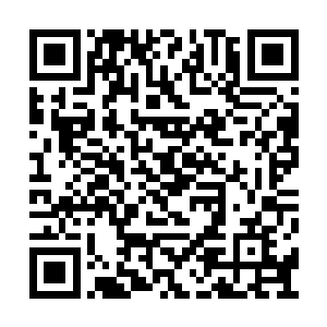 自己让他留下来任她差遣是一件多么错误的决定二维码生成