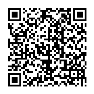 自己识海之中万灵塔内生出的一个十一级的御字部的大荒印契打入忠叔体内二维码生成