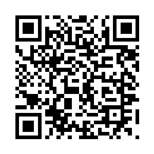 自己貌似都没拒绝安心来自己身边工作的理由二维码生成