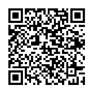 自己跑到一边找平原部落的人教她们怎么辨认干果二维码生成