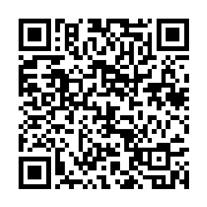 自己身上的要素汲取系统是否和前世完全一模一样二维码生成