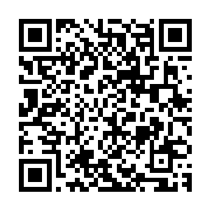 自己身上的辅助程序操作系统还在不断破译远古地精的简陋程序二维码生成