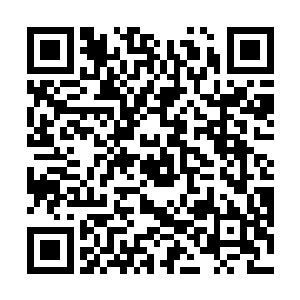 自己身为一个大家闺秀也不比为了自己的婚事这般打算二维码生成