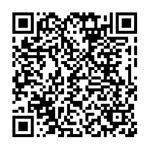 自己身体之上却沾染了不少黑鳖精归息沉睡是放射出的一些特殊气息二维码生成
