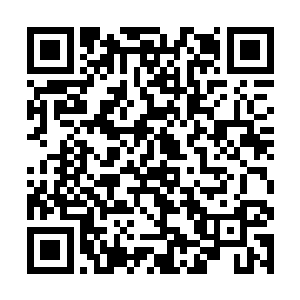 自己身边就隐藏着这么一个彻底彻尾的疯子还不自知二维码生成