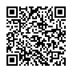 自己身边的田震居然就是这个世界最顶尖的人存在之一二维码生成