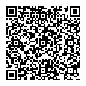 自己辛苦打下来的江山也有可能被那些成事不足败事有余只知道往自己口袋里捞钱的蛀虫给毁了二维码生成