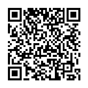 自己还不是想什么时候伸筷子就什么时候伸筷子二维码生成