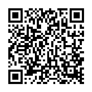 自己还在白虎台和密云郡李家的家主与长老见过面来着二维码生成