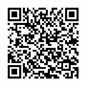 自己还打算看看他能不能带回来一两个有信仰天赋的二维码生成