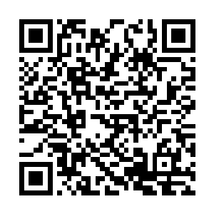 自己还是希望能够跟丁家其他的孩子一同的过过招二维码生成