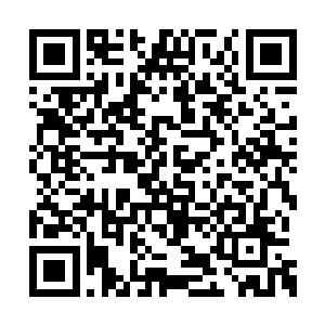 自己还真是想看看丁长生这个家伙的成色怎么样二维码生成