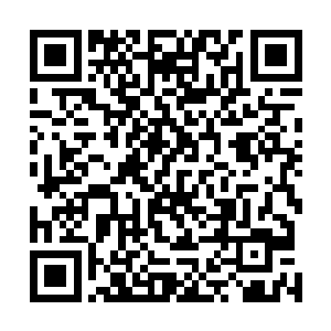 自己还真的就没有从王晓刚的身上面发现他有外国的基因二维码生成