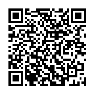 自己还能从已经死去的那个杀手的脑子里获得了一些东西二维码生成