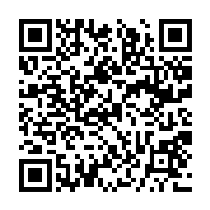 自己这一天三顿都困难的穷小子也变成官绅二代了二维码生成