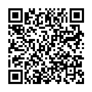 自己这七八年的时间在中北省的经营将彻底放弃二维码生成