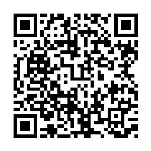 自己这个亲妹妹就算他这苍古域第一人都降不住二维码生成