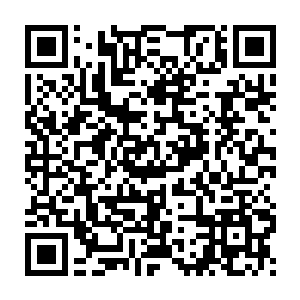 自己这个师弟从头到尾的从容不迫都是凭借强横的意志强撑下来的二维码生成