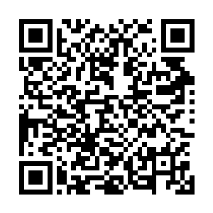 自己这个师父也不知道是在不死戒里呆太久脑子呆出问题来二维码生成