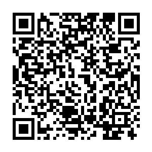 自己这个接受了高等教育的人都听不懂何塞·阿莱玛尼扯的那些专业术语二维码生成