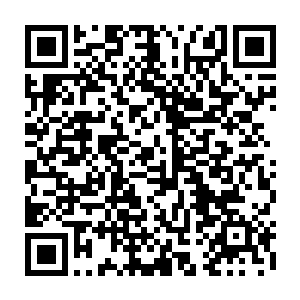 自己这个生在新中国长在红旗下的人居然在提醒一个封建王朝的公爵主意身份二维码生成