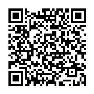 自己这个袋子将这些丹药给收起来那是非常的轻松的二维码生成