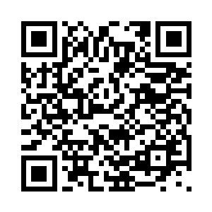 自己这些人唯一能够做的就是无奈地坚持二维码生成