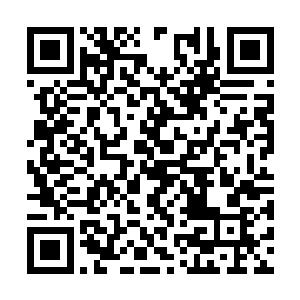 自己这位师侄的身份好像不是自己知道的那么简单二维码生成