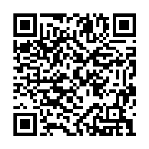 自己这几年辛苦积攒的血汗钱都没有兴趣回去拿二维码生成