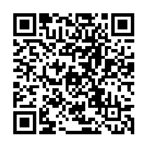 自己这可是情不自禁的就开始采摘起了对方的灵果二维码生成