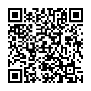 自己这才刚刚从着修武界的战争中回来却又要经历一场战斗二维码生成