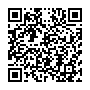 自己这混一丹的吸引力对于金角蚁皇的吸引力那是非常的大二维码生成