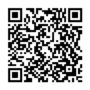 自己这点儿智慧都不够给人家做下酒料的――假如她喝酒的话二维码生成