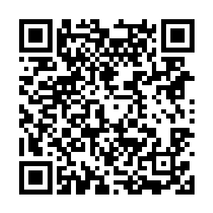 自己这边五百来个人却像丧家之犬一样纷纷往回跑二维码生成