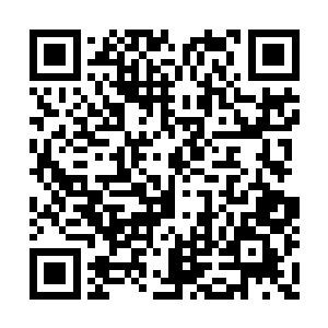 自己这边加上努比斯和铁塔总共有八名圣皇强者二维码生成