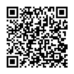 自己进来就一定能登仙成功――本来就是很飘渺的事情二维码生成