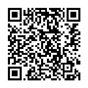 自己适合在一个什么样的位置扮演一个什么样的角色二维码生成