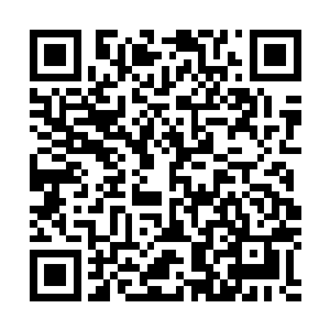 自己那个从来没有见过面的大师兄到底厉害到了什么程度啊二维码生成