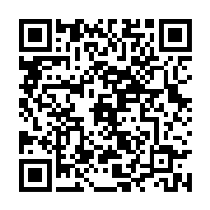 自己那引以为傲的肉身也开始出现密密麻麻的伤痕二维码生成