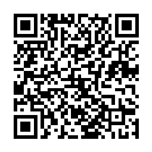 自己那许久都未提升一丝的元气水潭也出现了一丝波动二维码生成