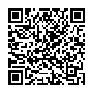 自己都不知道大灾变之前人族发明的那东西是什么玩意儿二维码生成