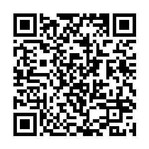 自己都要一试――现实世界比任何模拟推演都要复杂二维码生成