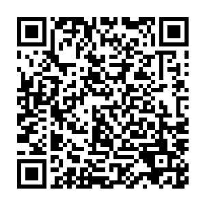 自己隔三差五的拿着几只鸡鸭回到房中然后第二天那些鸡鸭就消失了二维码生成