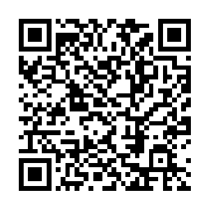 自己需要亲自的过来看一眼丁羽的病情究竟是怎么样的二维码生成