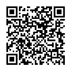 自是明白了云逸是要借助蛇皮来达到慕容玥口中的二维码生成