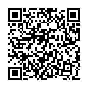 自来我们九域世家的客卿都是得到了仙力种子的二维码生成