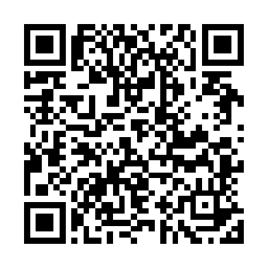 自此一发不可收拾……所以才有了威名赫赫的神州奇侠系列二维码生成