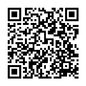 自炉中世界归来的摩那耶在墨巢中沉眠修养了近百年之后二维码生成